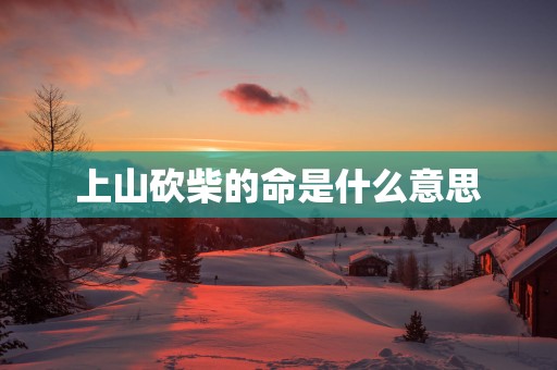 上山砍柴的命是什么意思