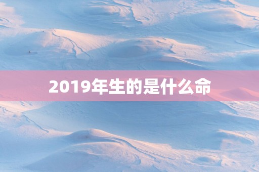 2019年生的是什么命