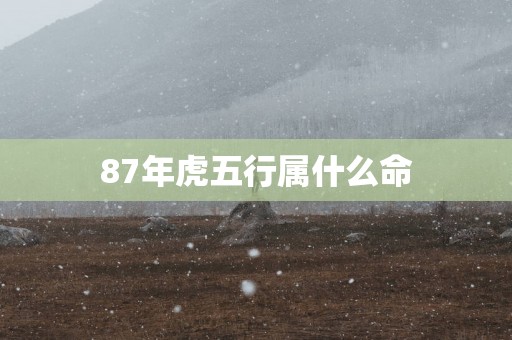 87年虎五行属什么命