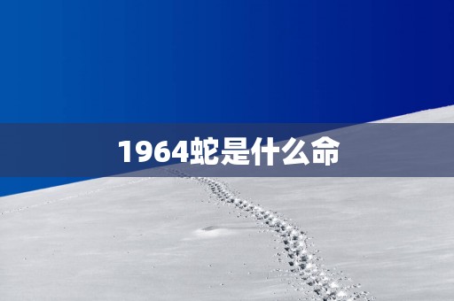 1964蛇是什么命
