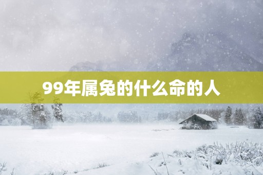 99年属兔的什么命的人