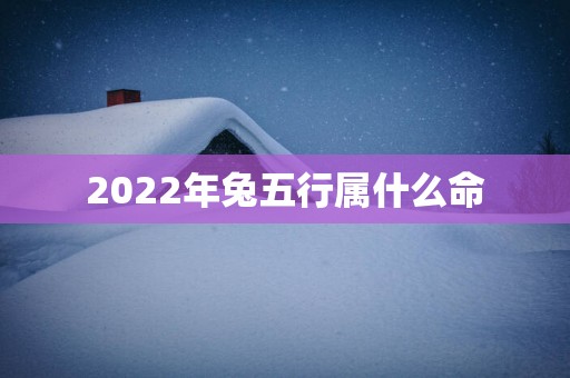 2025年兔五行属什么命