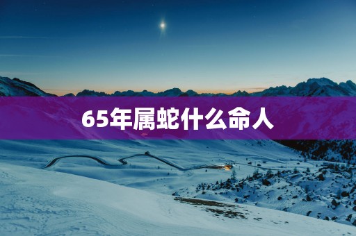 65年属蛇什么命人