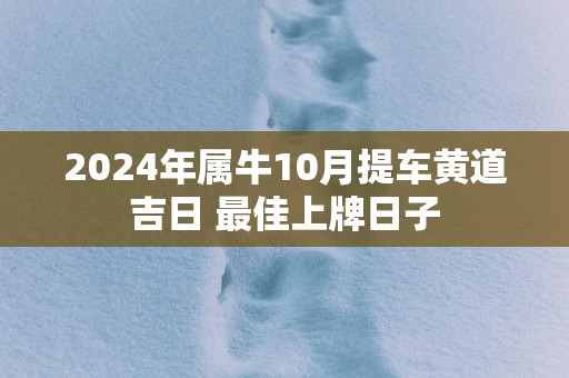 2025年属牛10月提车黄道吉日 最佳上牌日子