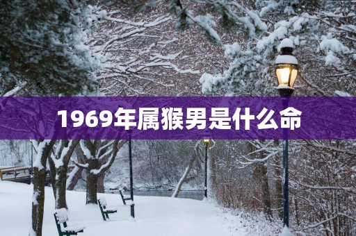1969年属猴男是什么命