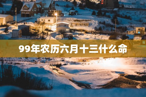 99年农历六月十三什么命