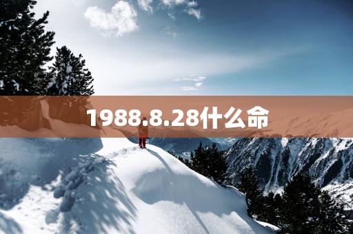 1988.8.28什么命