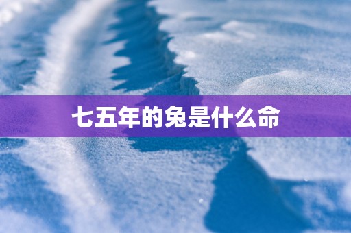 七五年的兔是什么命