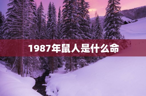 1987年鼠人是什么命