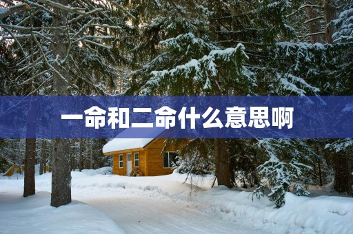 一命和二命什么意思啊