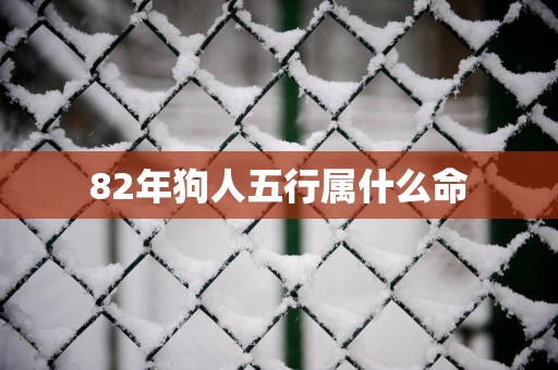 82年狗人五行属什么命