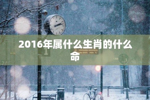 2016年属什么生肖的什么命