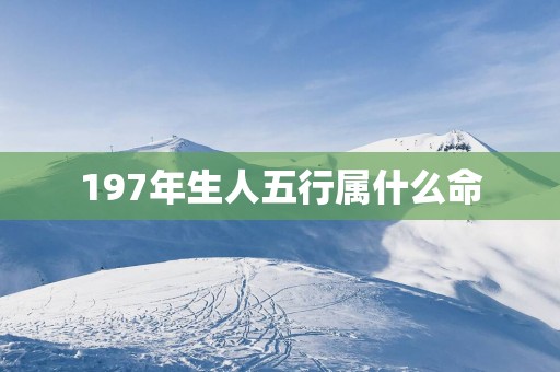 197年生人五行属什么命