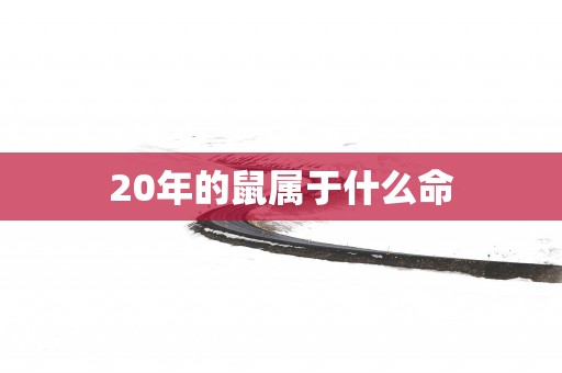20年的鼠属于什么命