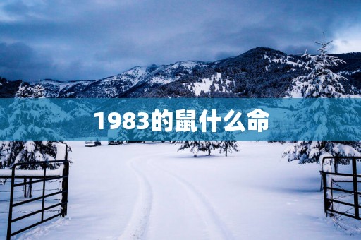 1983的鼠什么命