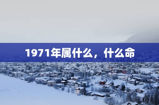 1971年属什么，什么命