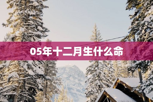 05年十二月生什么命