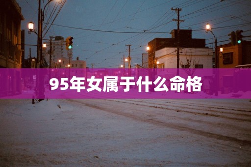 95年女属于什么命格