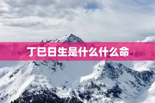 丁巳日生是什么什么命