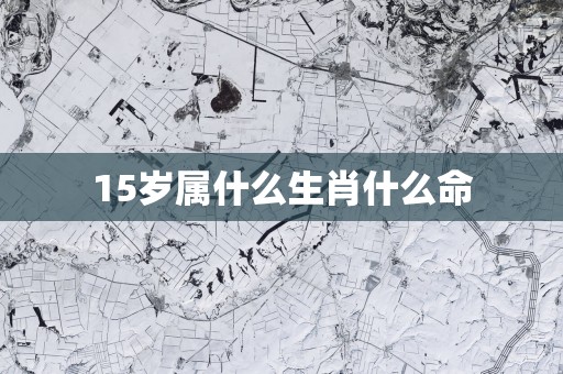 15岁属什么生肖什么命
