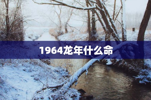 1964蛇年什么命