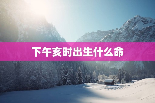 下午亥时出生什么命