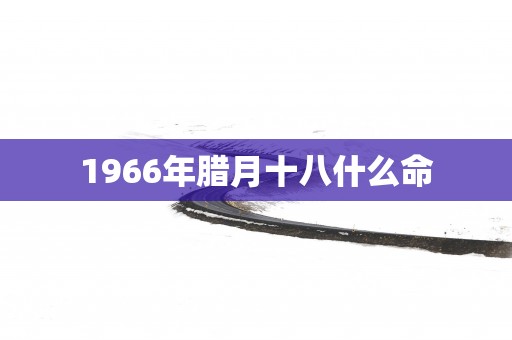 1966年腊月十八什么命