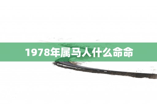 1978年属马人什么命命