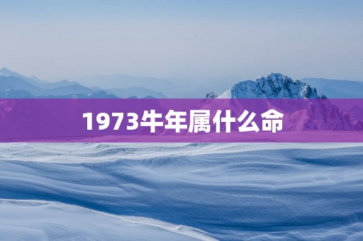 1973蛇年属什么命