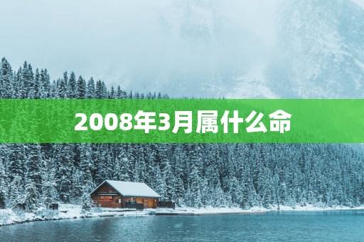 2008年3月属什么命