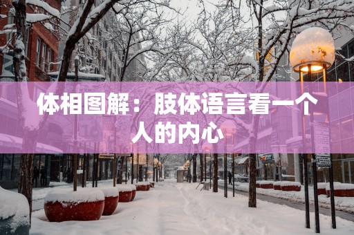 体相图解：肢体语言看一个人的内心