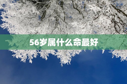 56岁属什么命最好