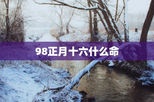 98正月十六什么命