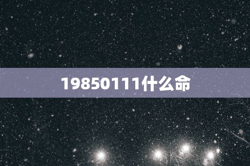 19850111什么命