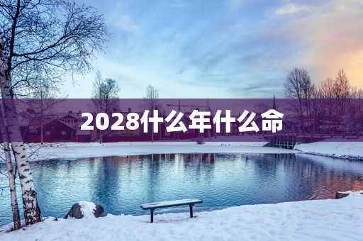 2028什么年什么命