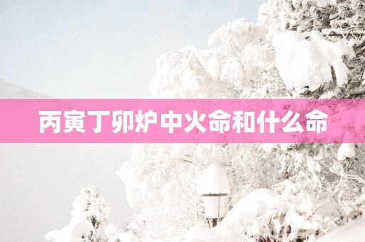 丙寅丁卯炉中火命和什么命