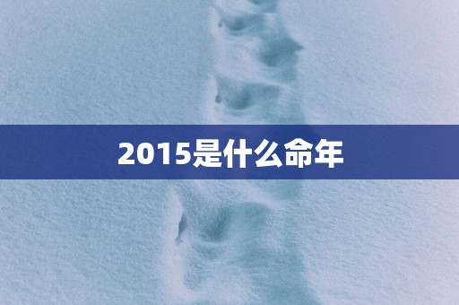 2015是什么命年