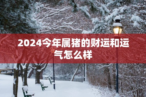 2025今年属猪的财运和运气怎么样