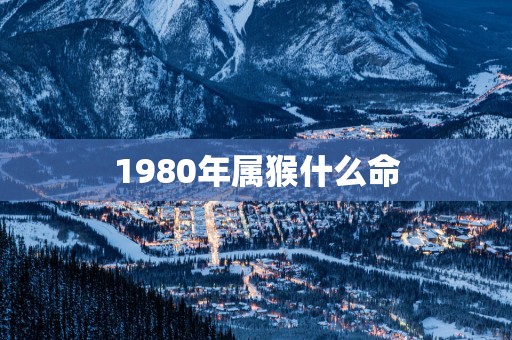 1980年属猴什么命