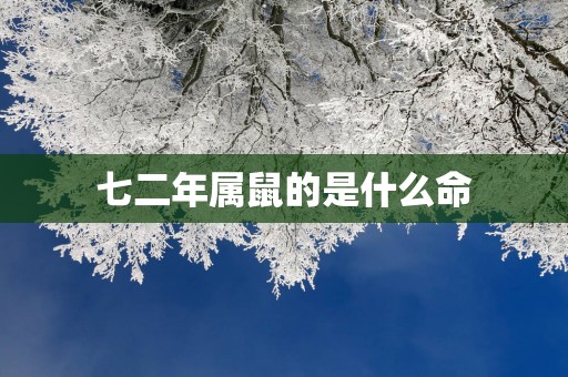 七二年属鼠的是什么命