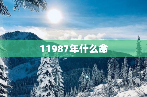 11987年什么命