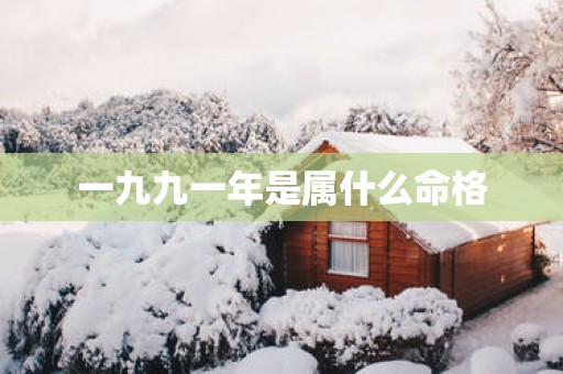 一九九一年是属什么命格