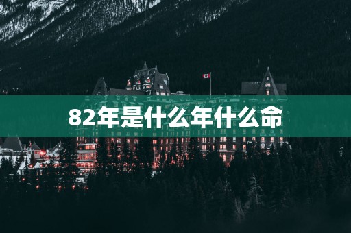 82年是什么年什么命