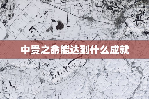 中贵之命能达到什么成就