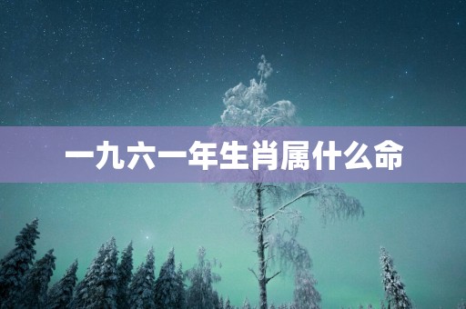 一九六一年生肖属什么命