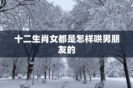 十二生肖女都是怎样哄男朋友的