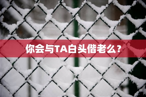 你会与TA白头偕老么？