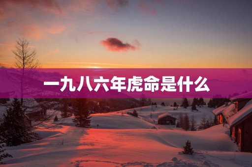一九八六年虎命是什么