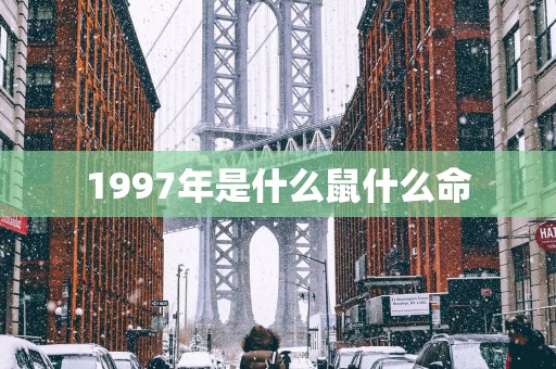 1997年是什么鼠什么命