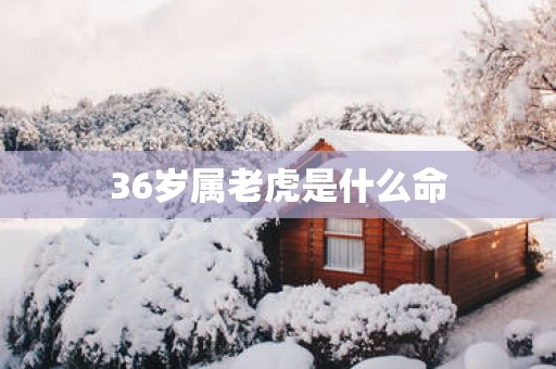 36岁属老虎是什么命